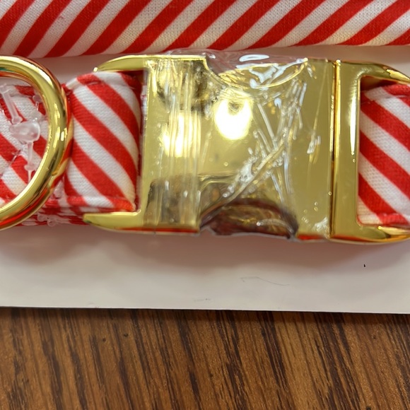 Dog combo collar and bow - Picture 4 of 7